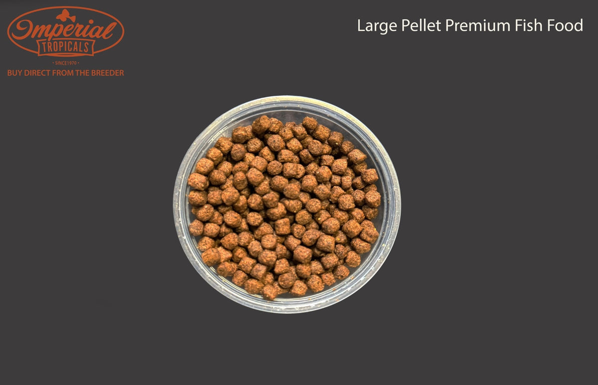 Large Pellet Premium Fish Food