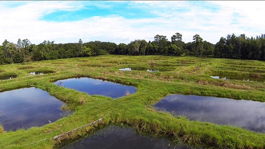 Schedule Appointment-Deposit - Imperial Tropicals