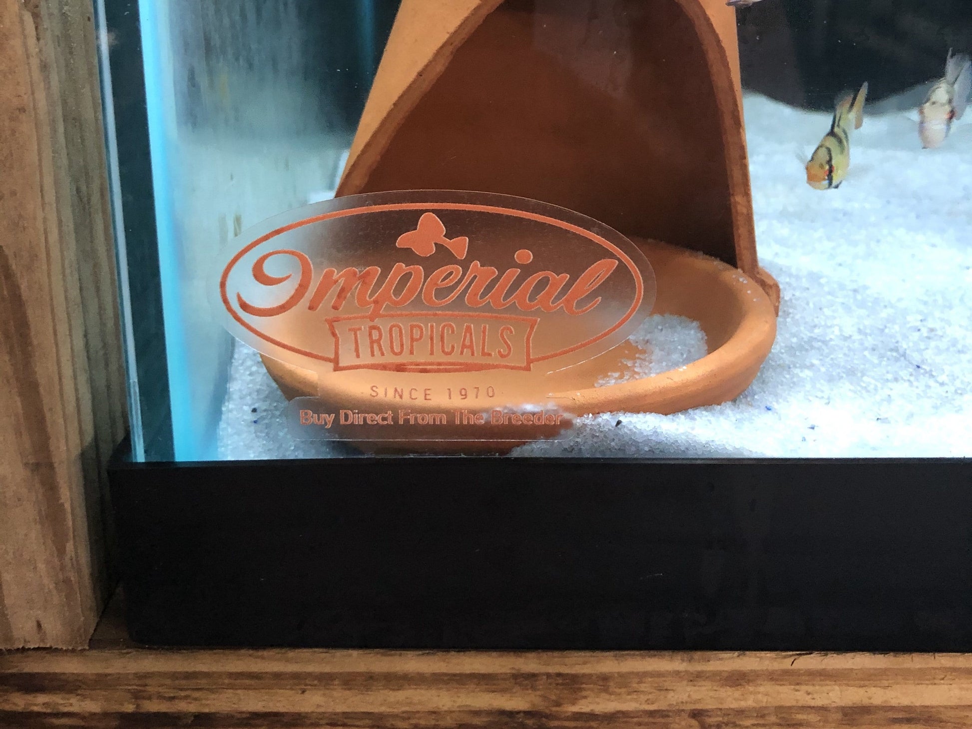 Imperial Tropicals Tank Stickers - Imperial Tropicals