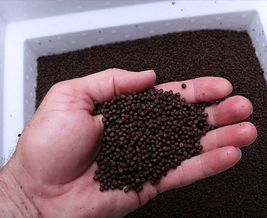 Large Pellet Premium Fish Food - Imperial Tropicals