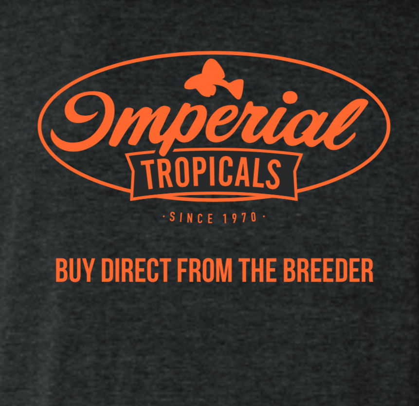 Imperial Tropicals Short Sleeve T-Shirt - Imperial Tropicals