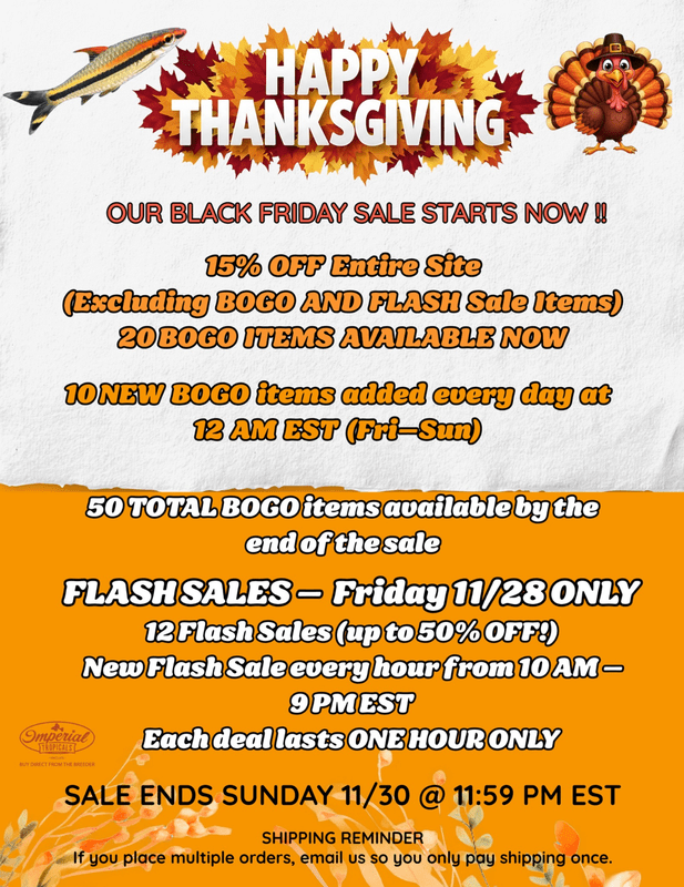 2025 Black Friday Sale - Imperial Tropicals