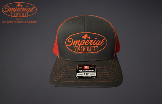 Charcoal with Orange Mesh Imperial Tropicals Snapback Hat