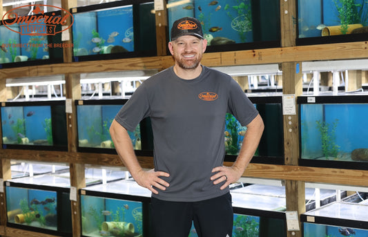 Iron Grey Sport Imperial Tropicals Short Sleeve T-Shirt